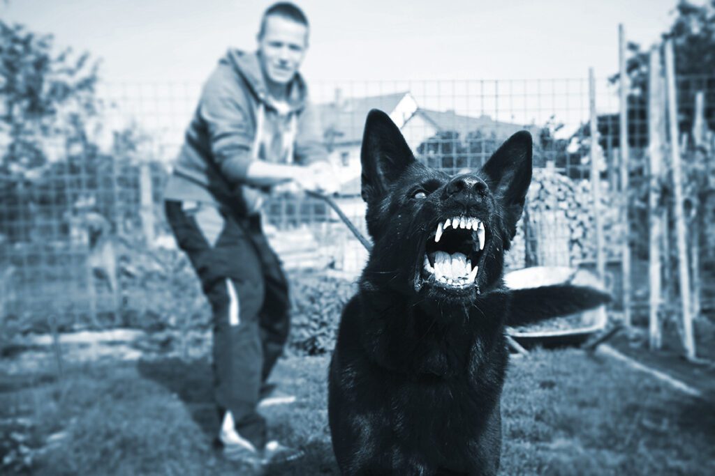 Man holds back aggressive dog barking on a leash