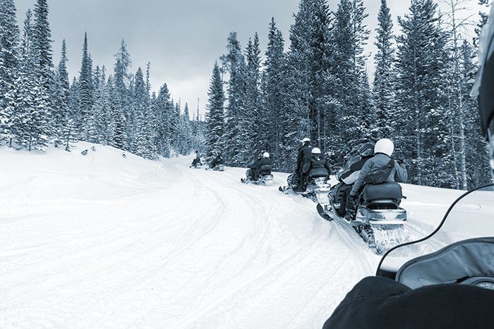 A line of snowmobilers ride through the woods wearing protective gear