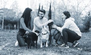 Group of friends meet in the park with their dogs.
