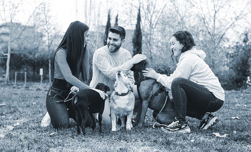 Group of friends meet in the park with their dogs.