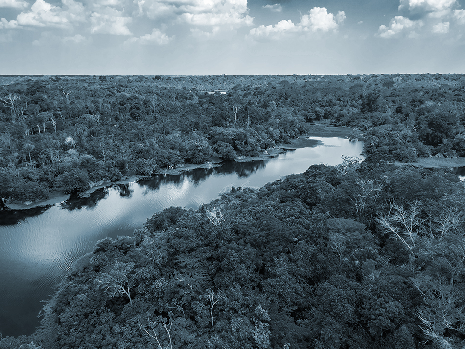 Aerial photo of the Amazon River